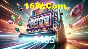 Premium Interface 9485