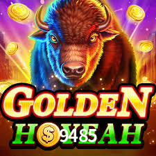 9485.com